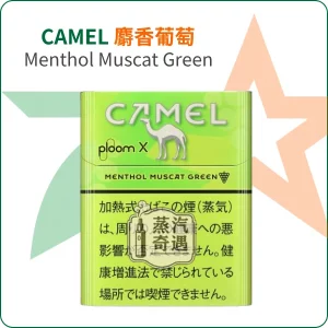 Camel麝香葡萄Menthol Muscat Green 駱駝加熱菸口味｜整條10包裝 Ploom主機專用｜日本原裝進口